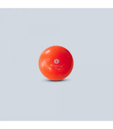 Balle Lestée 2 kg